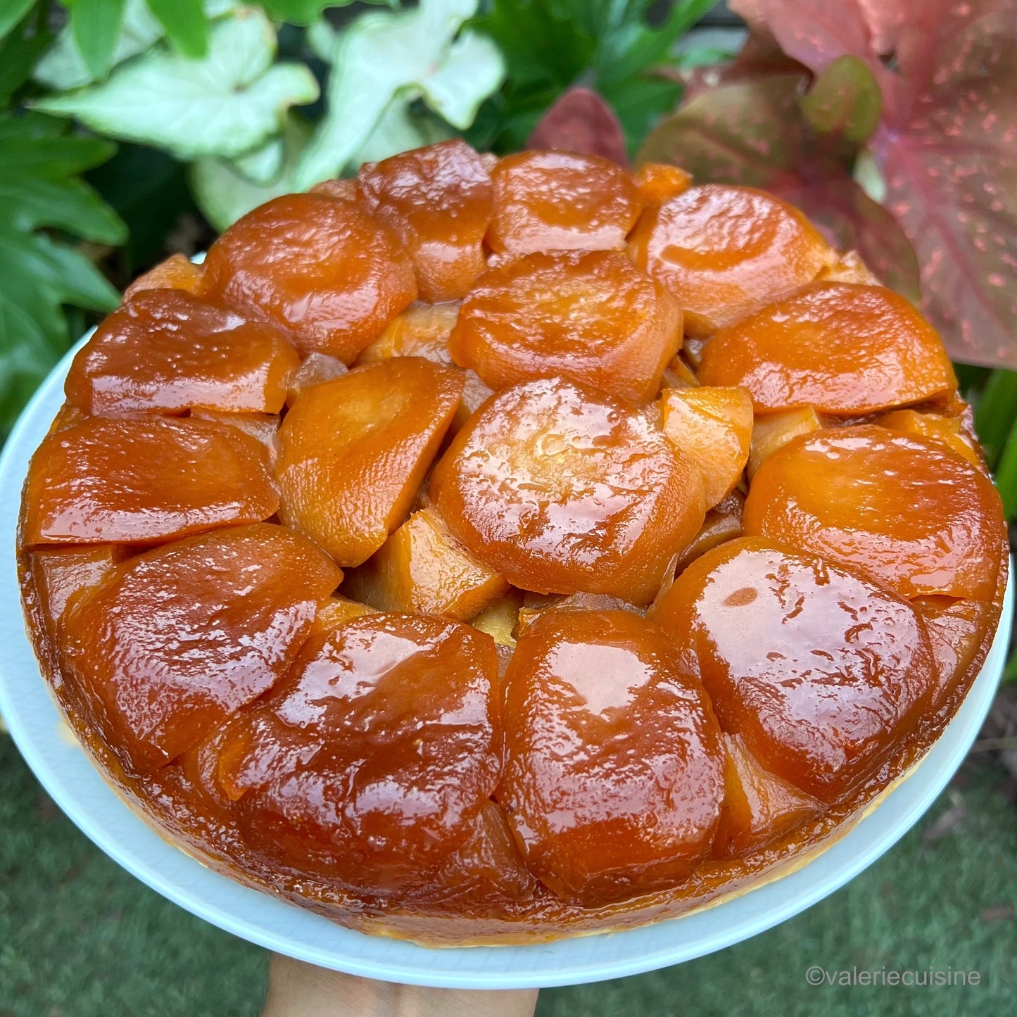 Apple Tatin Tart